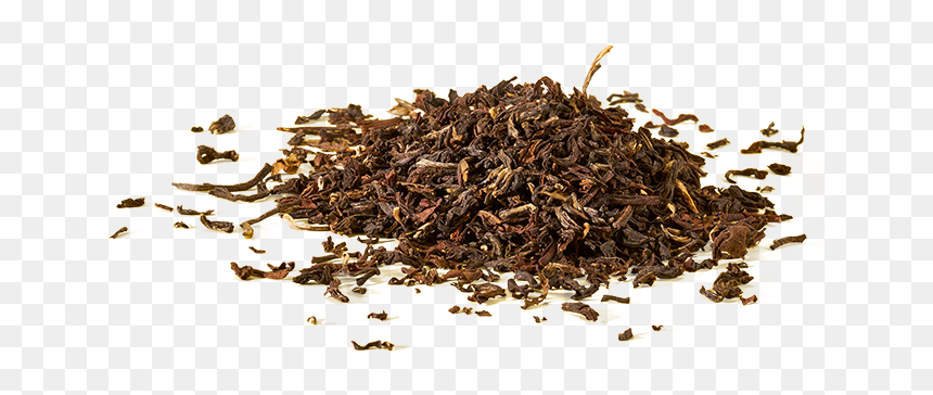 Dongfang Meiren, HD Png Download - leaves pile png