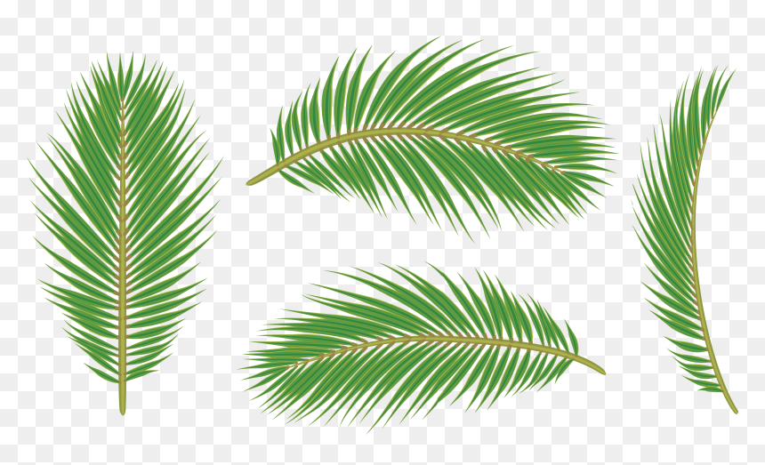 Leaves Pile Png, Transparent Png - leaves pile png