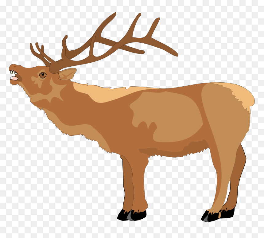 Raindeer Png, Transparent Png - raindeer png