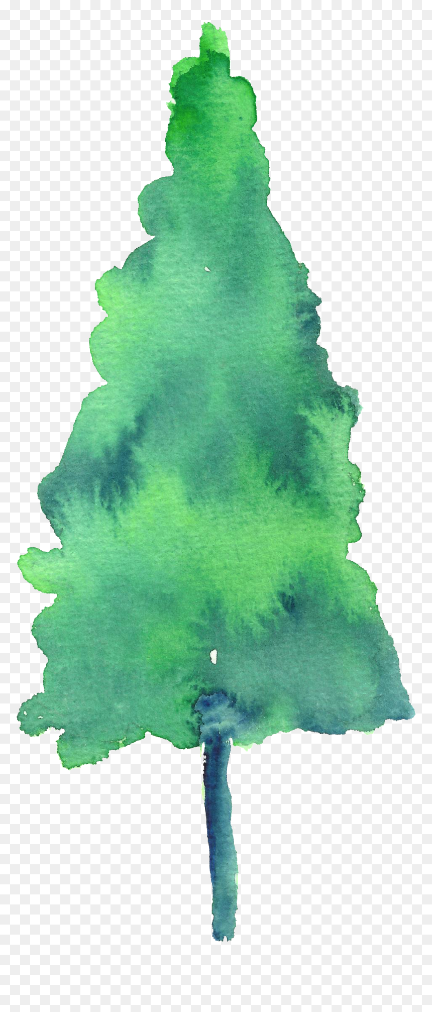 Watercolor Christmas Trees Transparent, HD Png Download - pinetree png