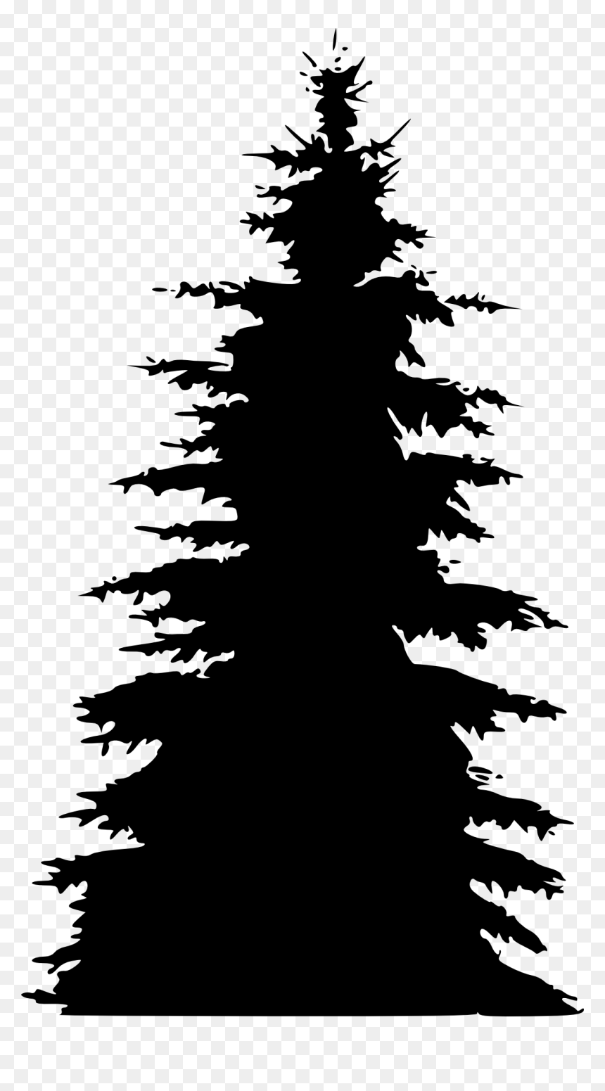 Portable Network Graphics, HD Png Download - pinetree png