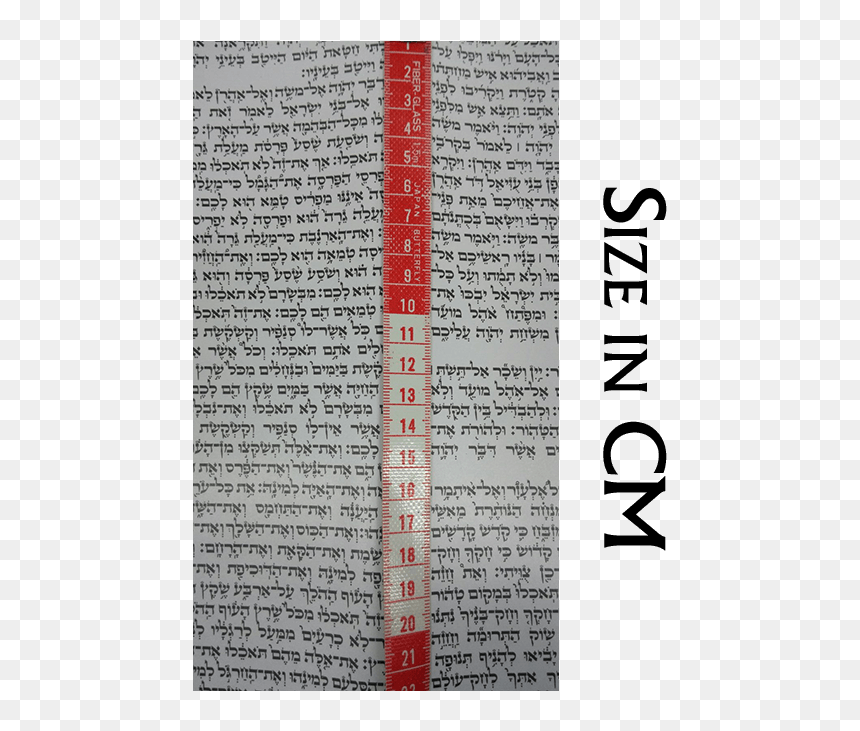 Calligraphy, HD Png Download - torah scroll png