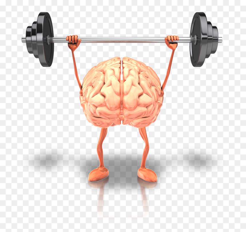 Brain Lifting Weights Transparent, HD Png Download - weightlifter png