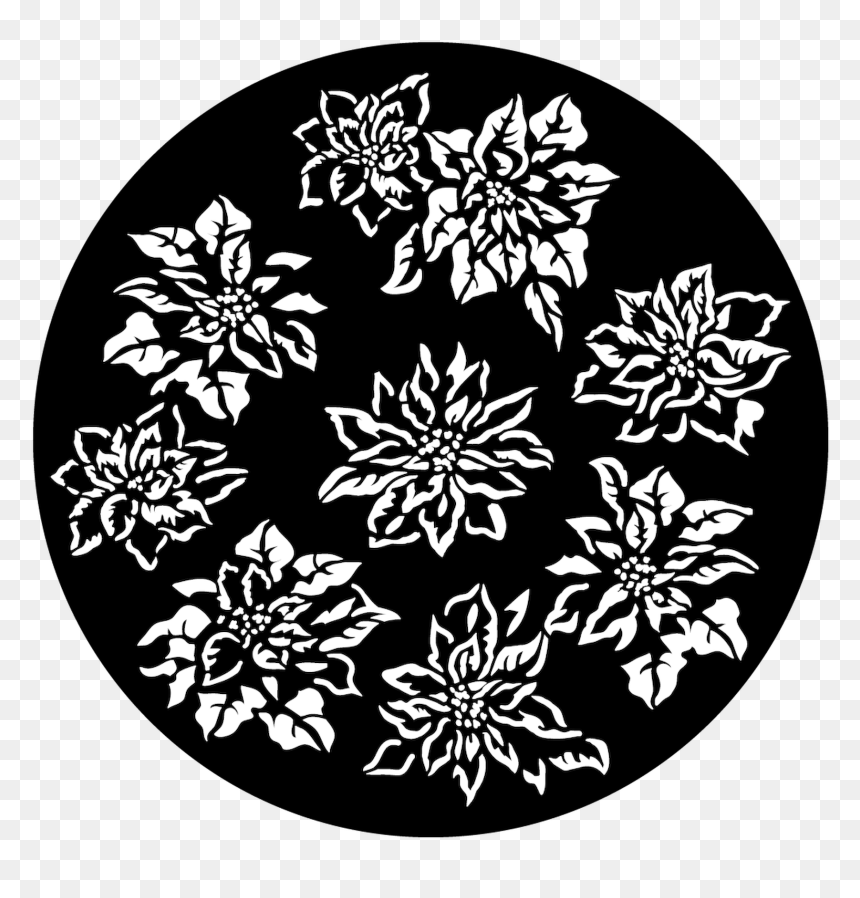 Circle, HD Png Download - poinsettias png