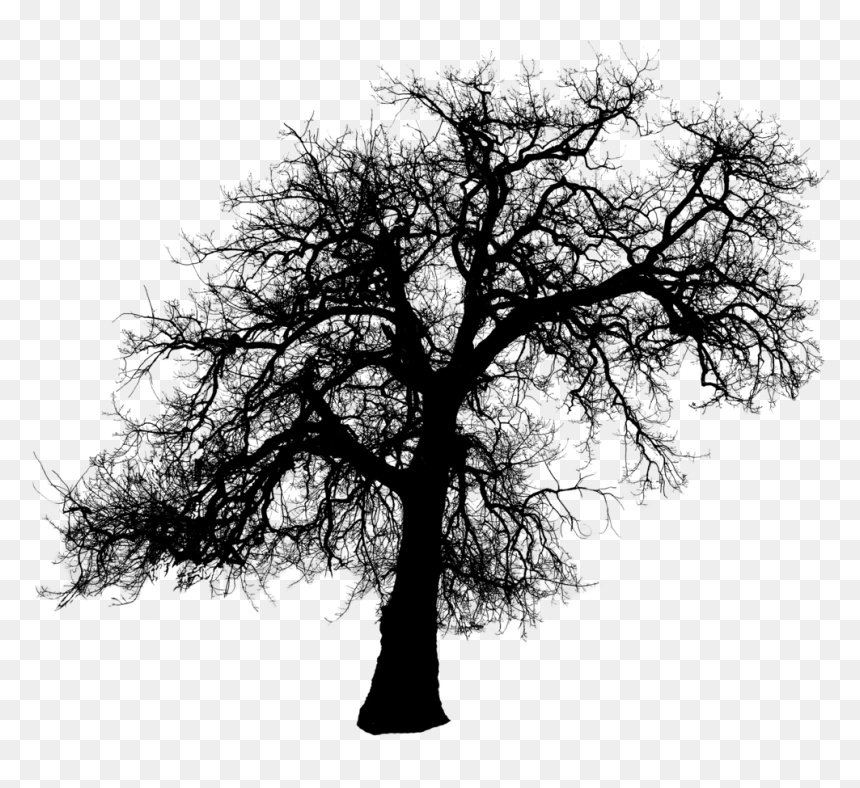 Transparent Silhouette Of A Tree, HD Png Download - hookah silhouette png