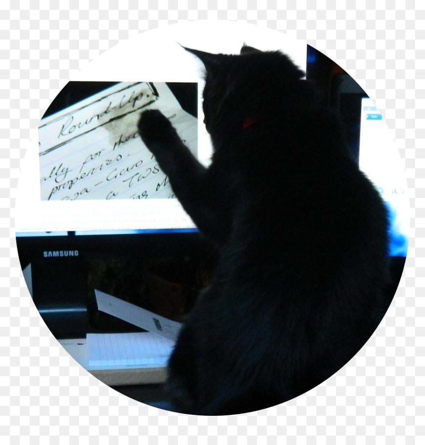 Black Cat, HD Png Download - ink smudge png