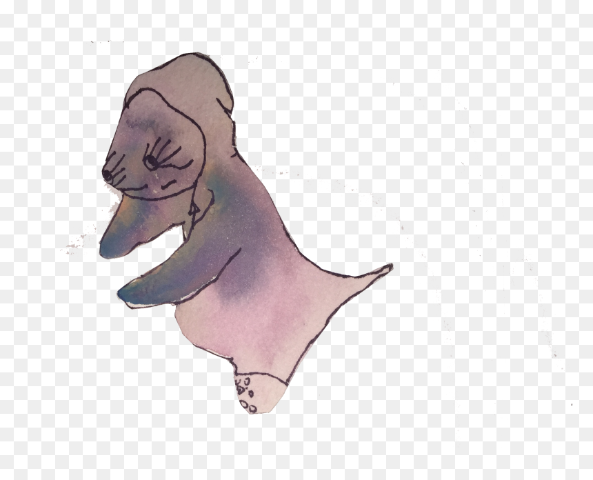 California Sea Lion, HD Png Download - kiki png