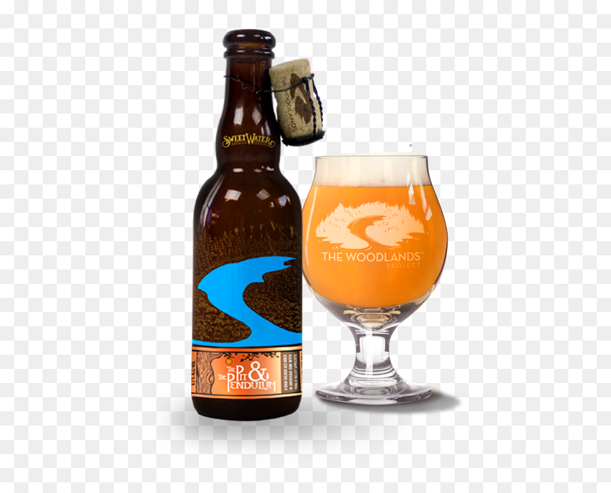 Sweetwater 21st Anniversary, HD Png Download - pendulum png