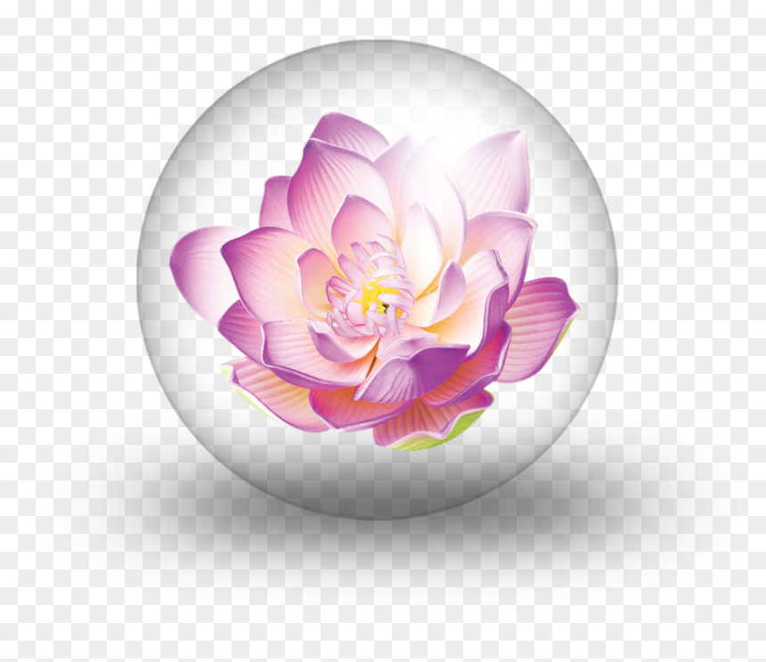 Purple Blue Red Lotus Flower, HD Png Download - psychic png