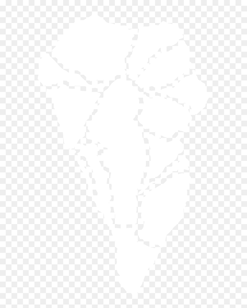 Mapa, HD Png Download - palma png