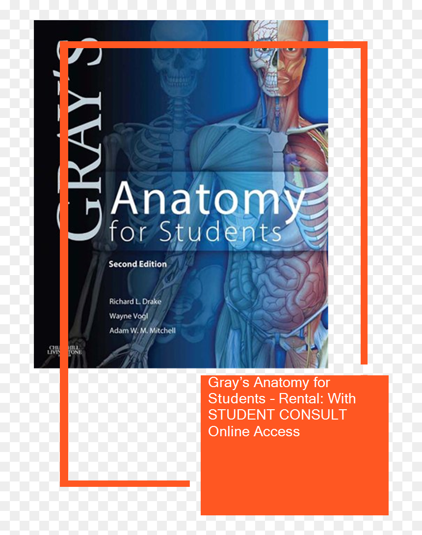 Poster, HD Png Download - grey's anatomy png