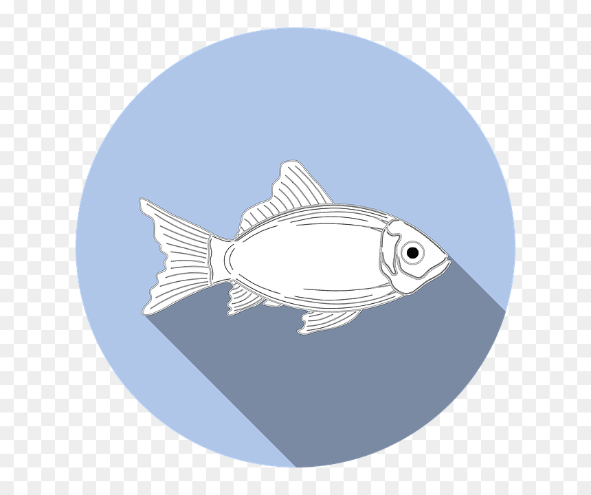 Vector Fish Icon Png, Transparent Png - food symbol png