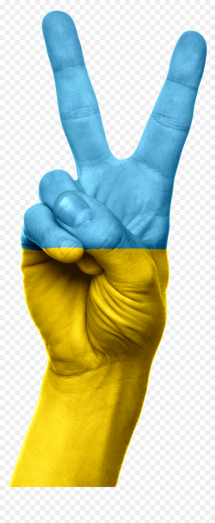 Ukraine Flag On Hand, HD Png Download - ukraine flag png