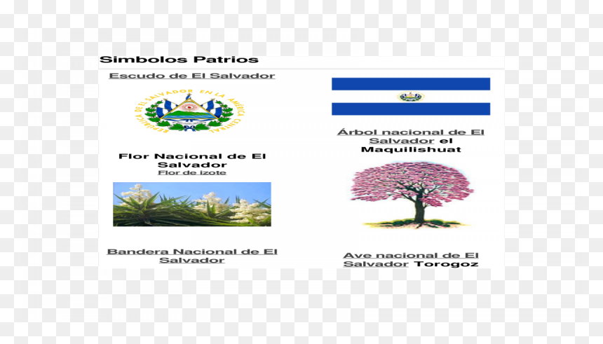 Tree, HD Png Download - bandera el salvador png