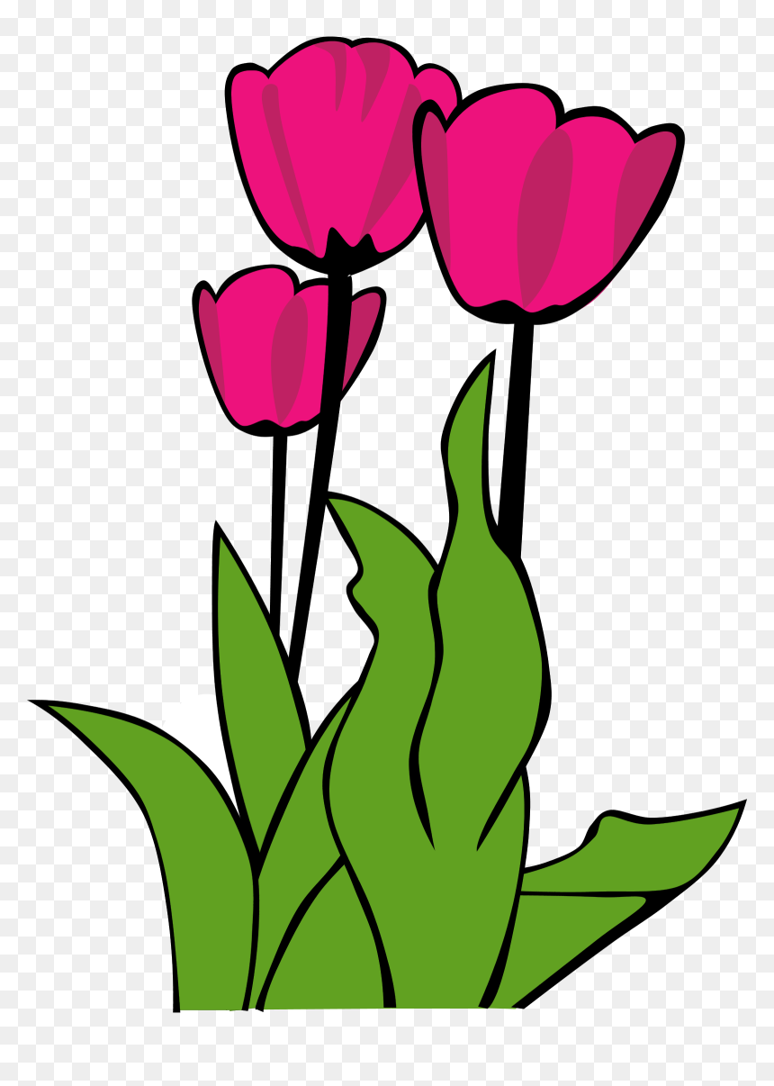 Tulip Clip Art, HD Png Download - flowerspng