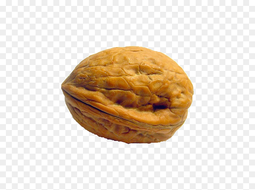 Walnut With Transparent Background, HD Png Download - nutshell png