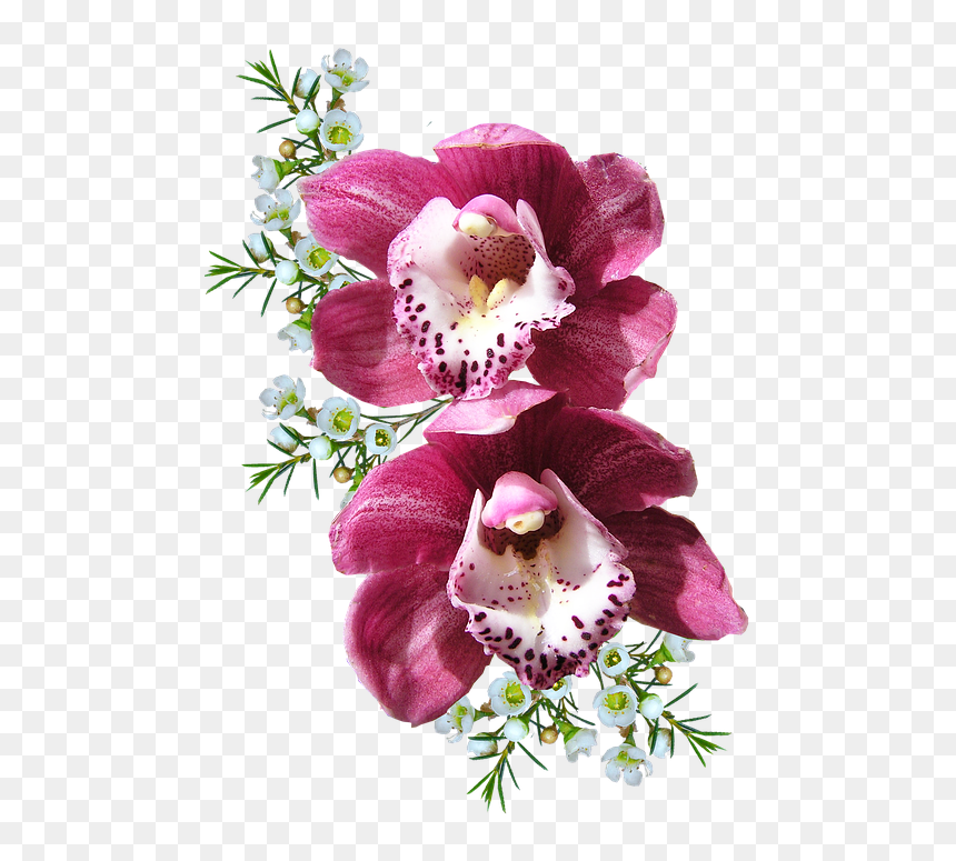 Bunch Of Orchid Flowers, HD Png Download - pink orchid png