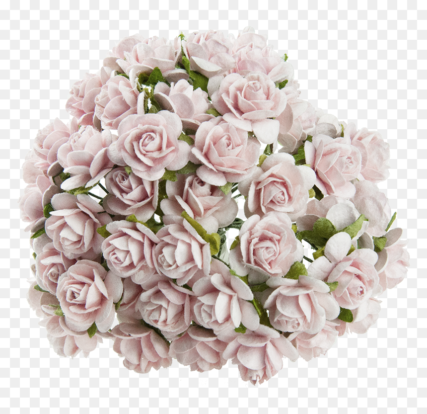 Garden Roses, HD Png Download - pink orchid png