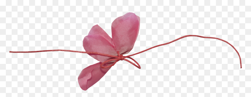 Butterfly, HD Png Download - amistad png