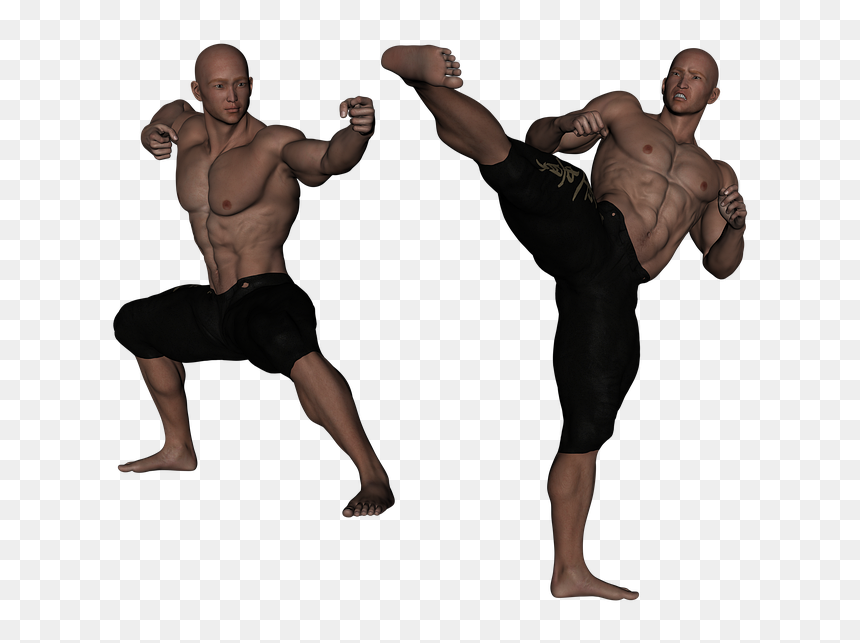 Kungfu Fight, HD Png Download - kickboxing png