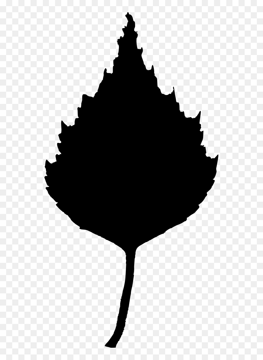 Birch Leaf Silhouette Png, Transparent Png - fall leaves clip art png