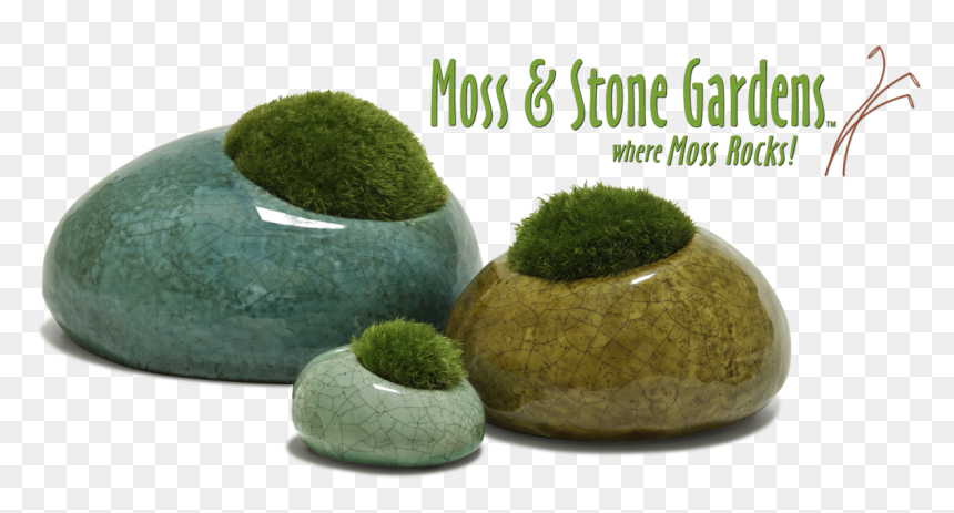 Moss Plants For Sale, HD Png Download - mossy rock png