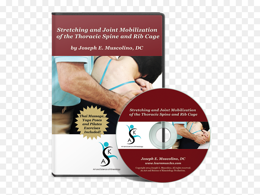 Rib Thoracic Joint Mobilization, HD Png Download - dvd case png