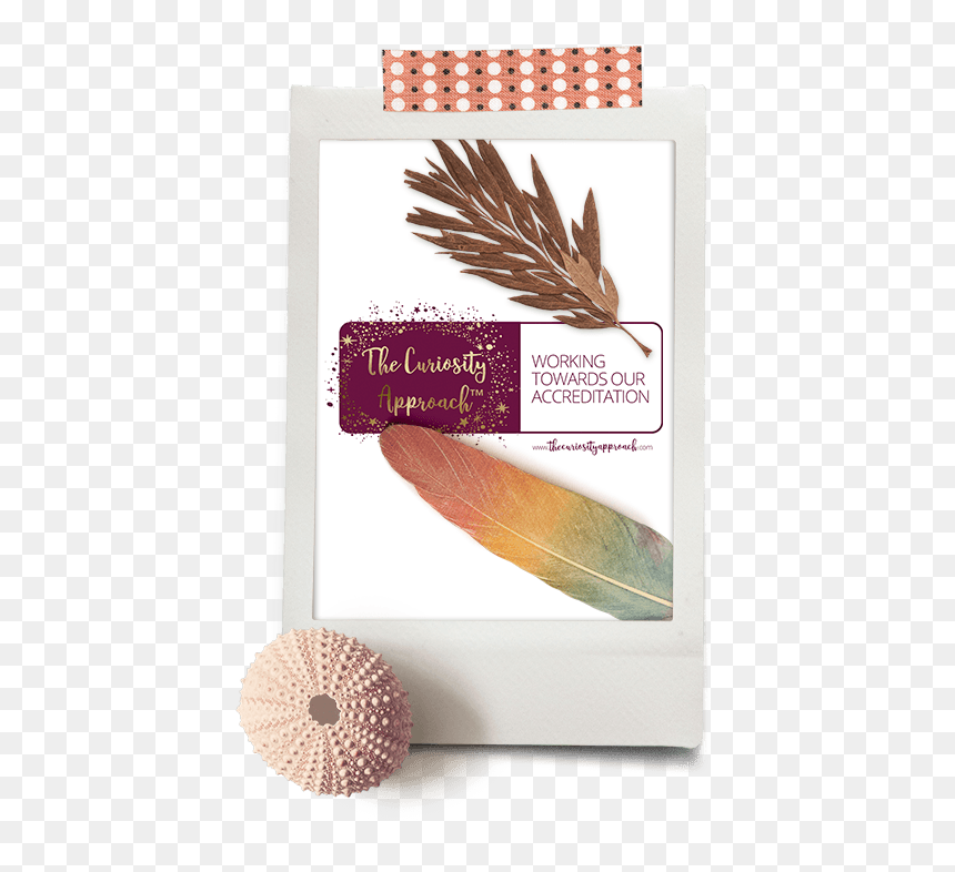 Paper, HD Png Download - curiosity png