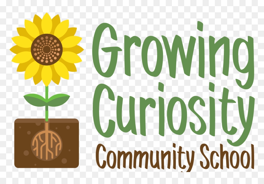 Sunflower, HD Png Download - curiosity png