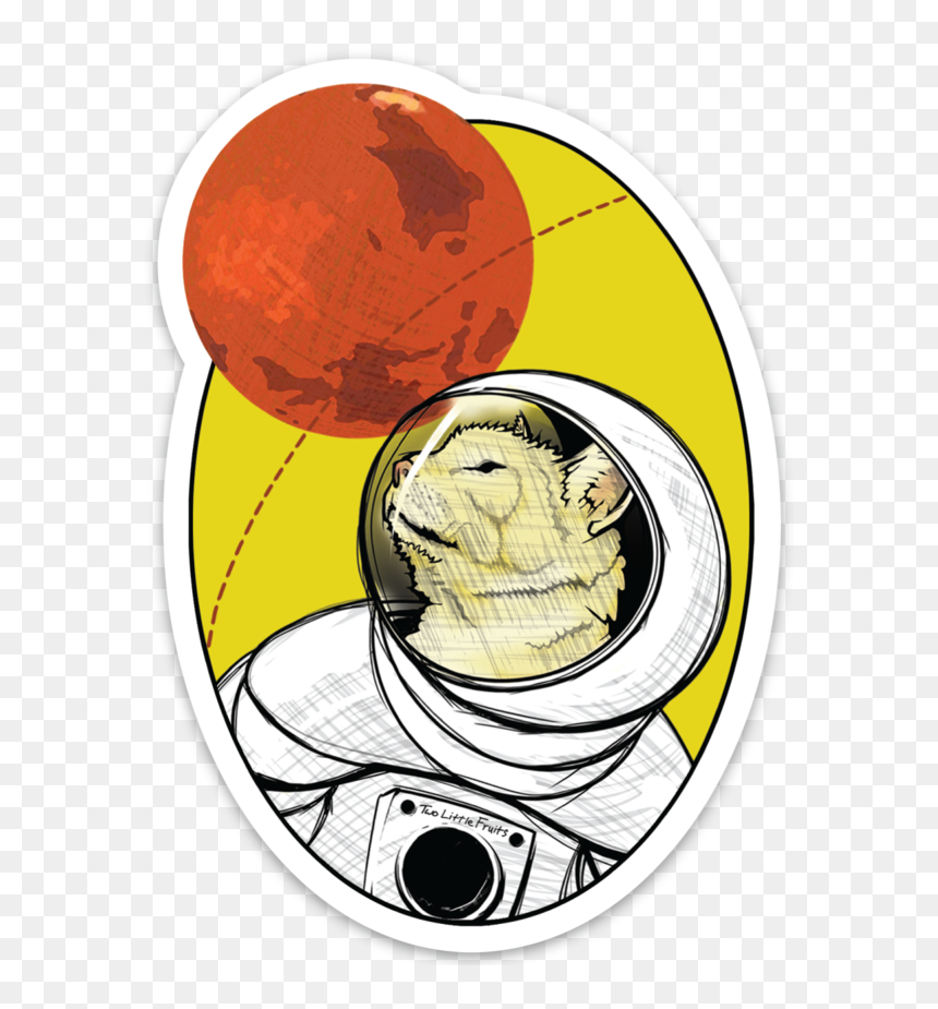 Circle, HD Png Download - curiosity png