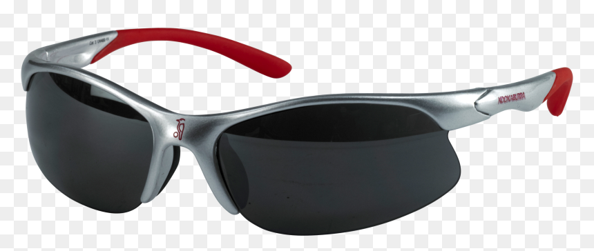 Cricket Glasses Png, Transparent Png - nemesis png