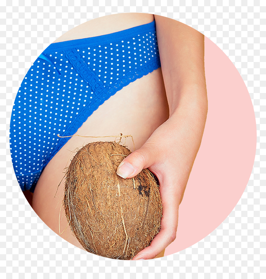 Attalea Speciosa, HD Png Download - waxing png