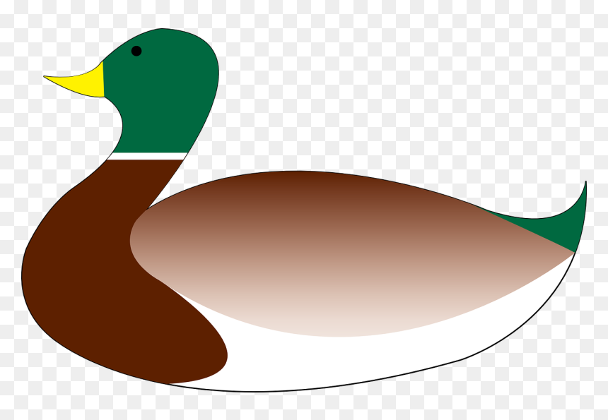 Marreco Desenho, HD Png Download - mallard png