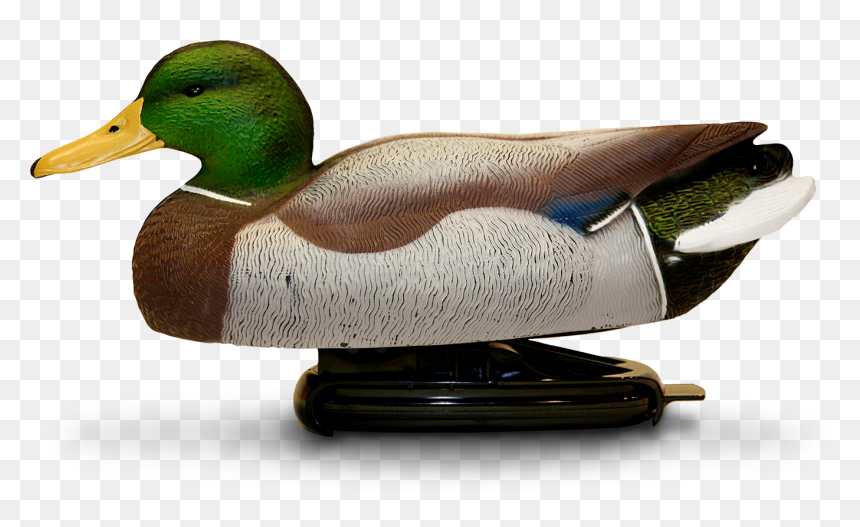 Springback Decoys, HD Png Download - mallard png