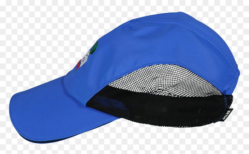Baseball Cap, HD Png Download - palmeira png