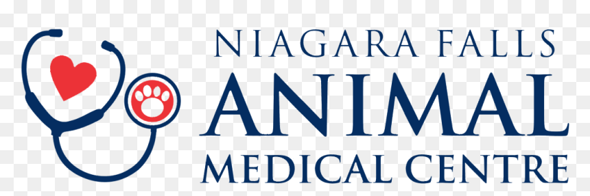 Circle, HD Png Download - niagara falls png