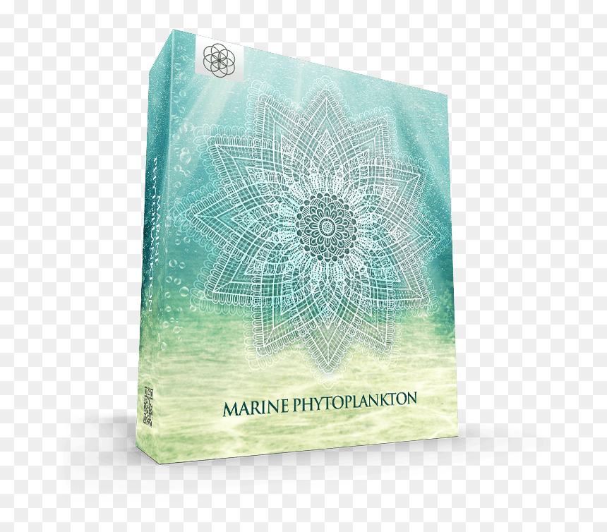 Paper, HD Png Download - phytoplankton png