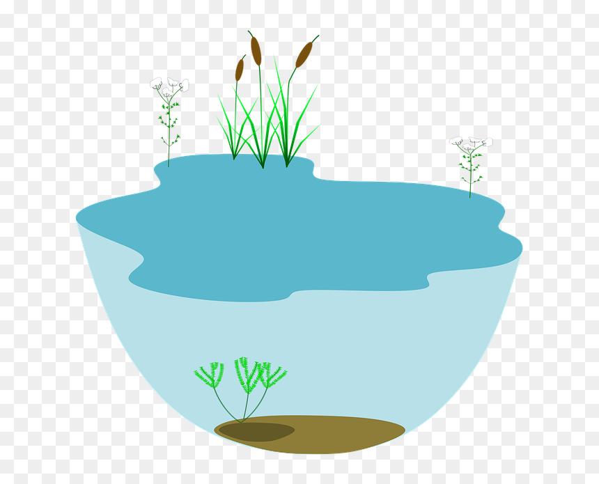 Cholera Environmental Reservoirs, HD Png Download - ecosystem png