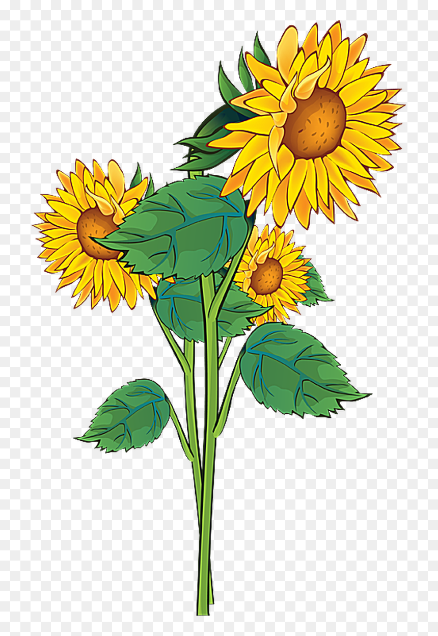 Sunflower Clip Art, HD Png Download - rebellion png