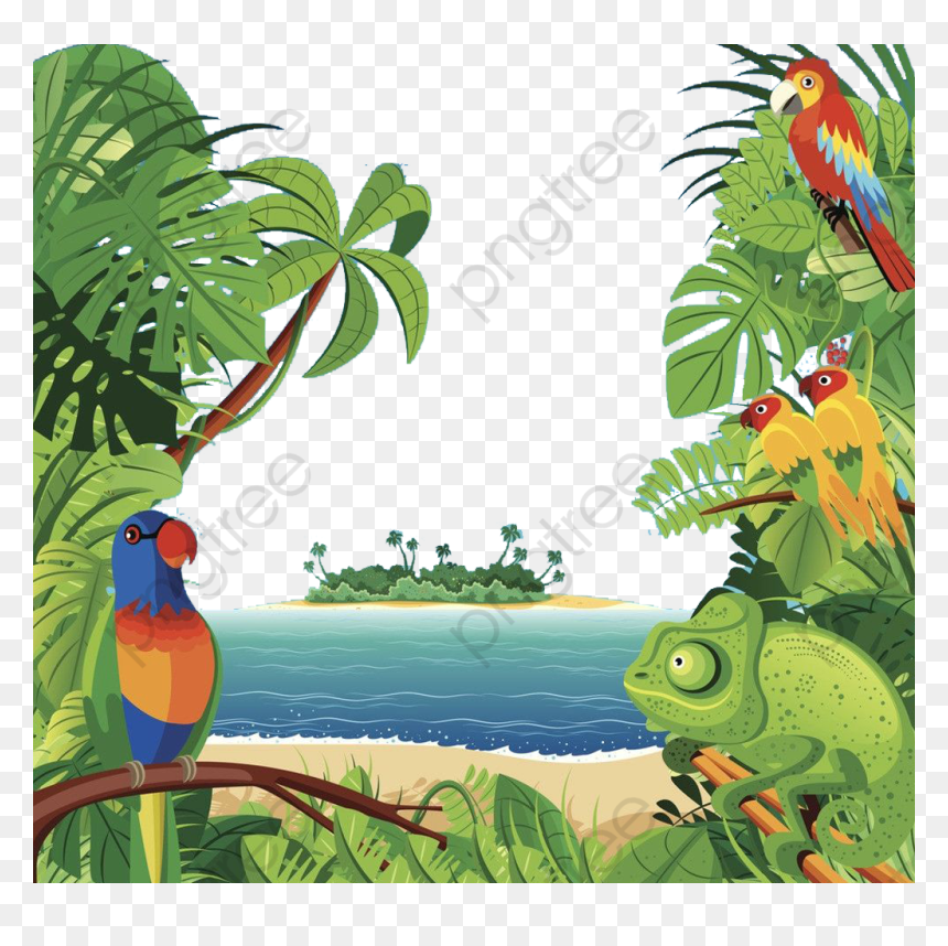 Tropical Rainforest, HD Png Download - ecosystem png