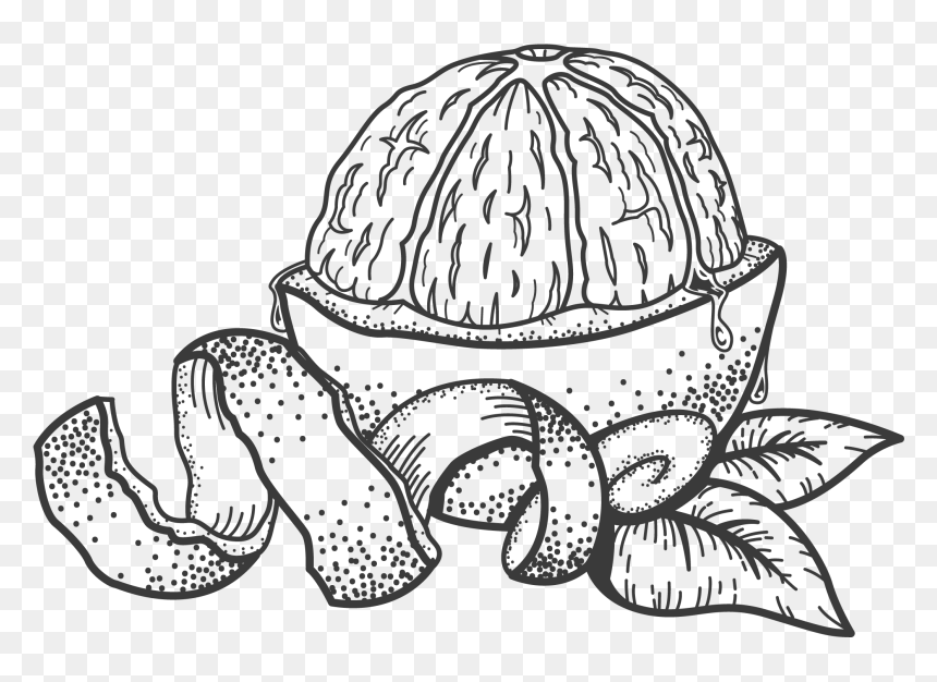 Sketch, HD Png Download - orange peel png