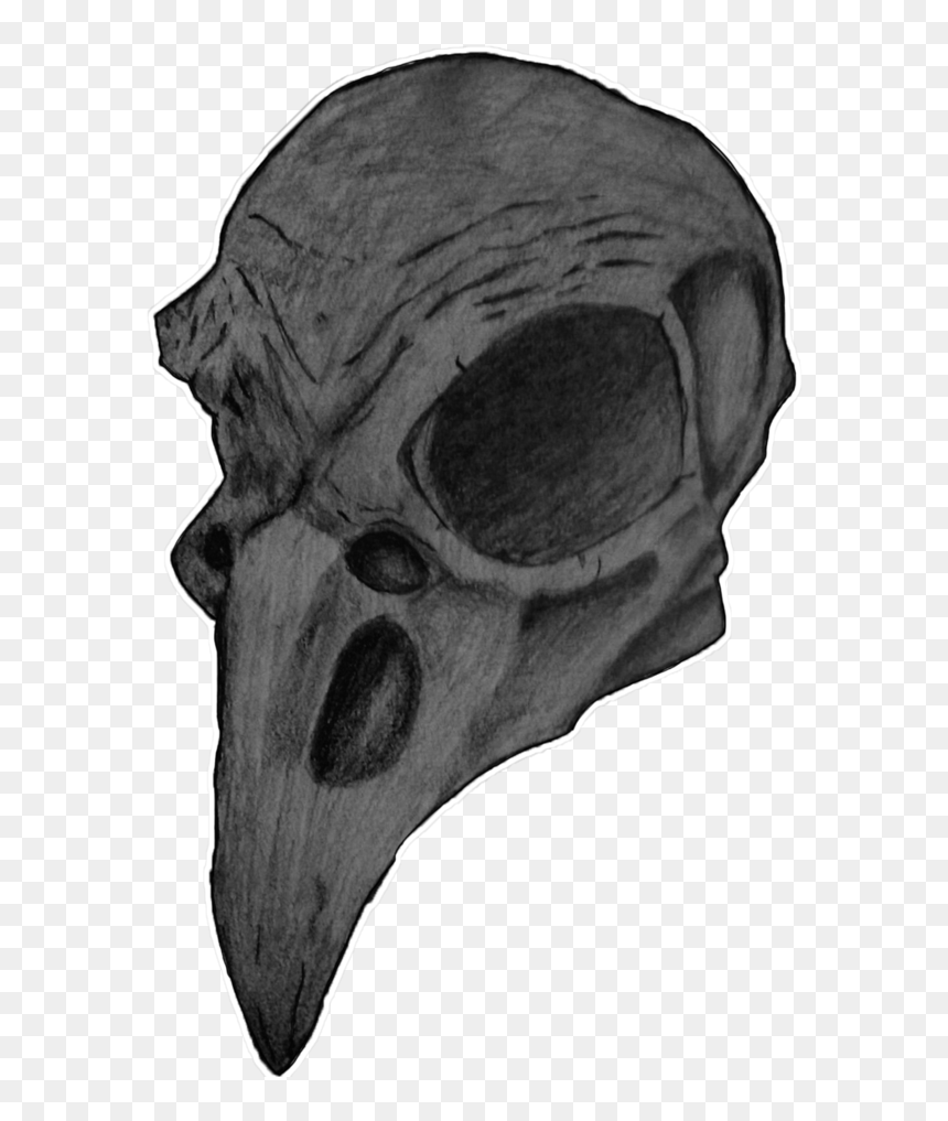 Transparent Background Bird Skull, HD Png Download - bird skull png