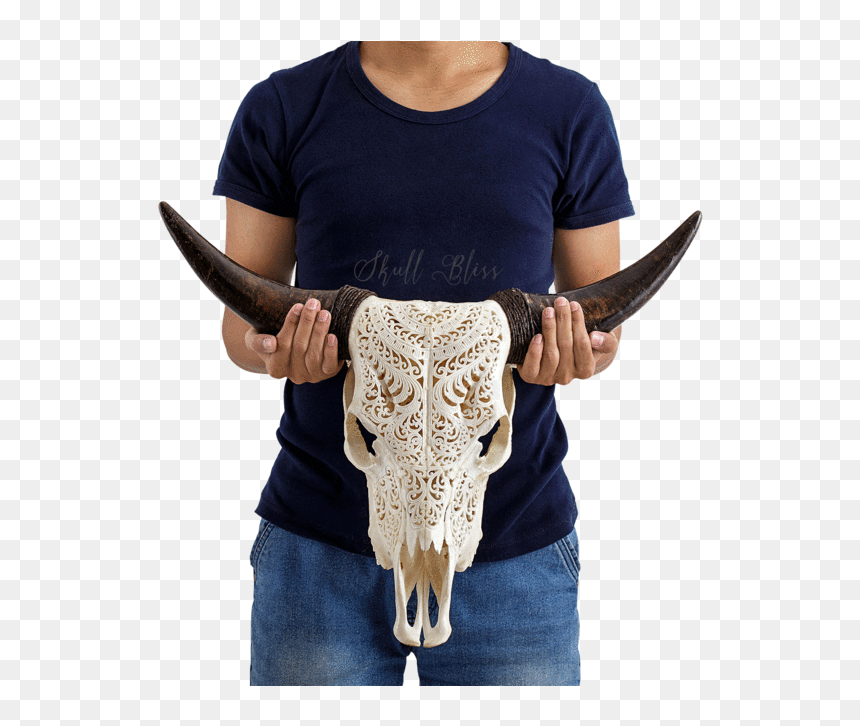 Costume Bull Skull, HD Png Download - bird skull png