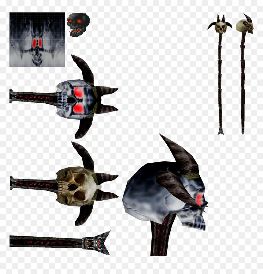 Swallow, HD Png Download - bird skull png