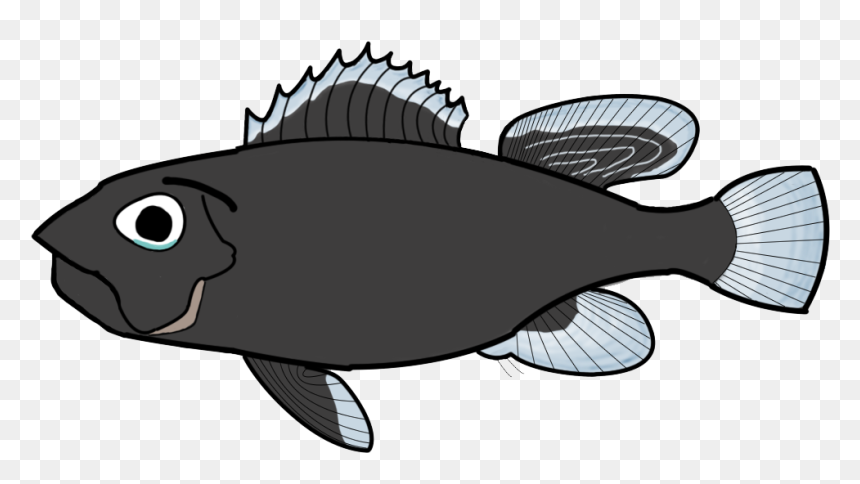 Sole, HD Png Download - sad fish png