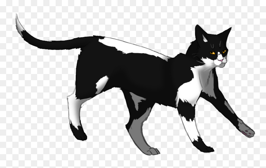 La Guerre Des Clans Etoile Filante, HD Png Download - warrior cats png