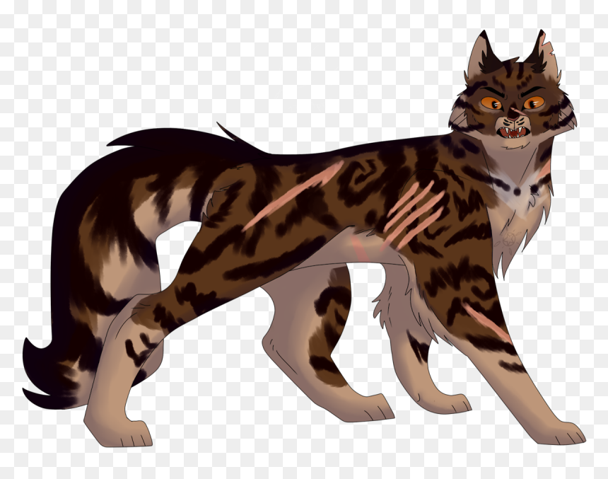 Cat Grabs Treat, HD Png Download - warrior cats png