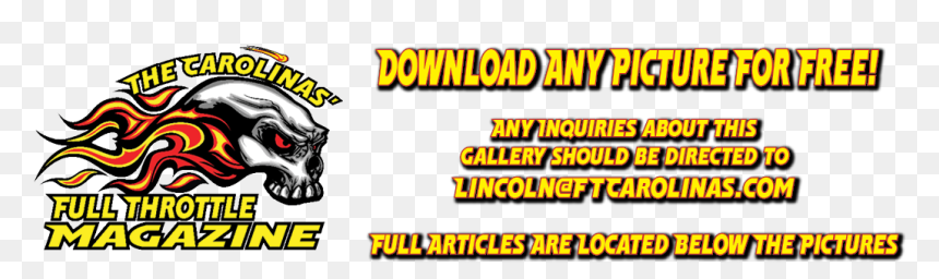 Cat, HD Png Download - jace png
