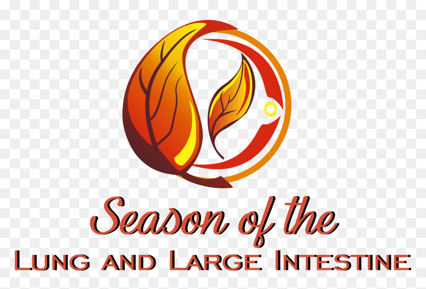 Graphic Design, HD Png Download - intestine png