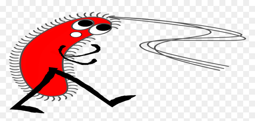 ไวรัส เชื้อโรค Png, Transparent Png - intestine png